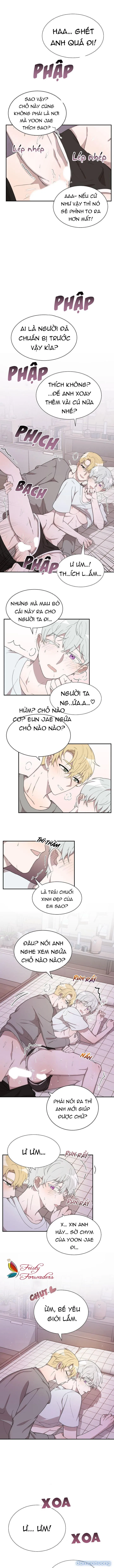 Giấc Mơ Ngọt Ngào 