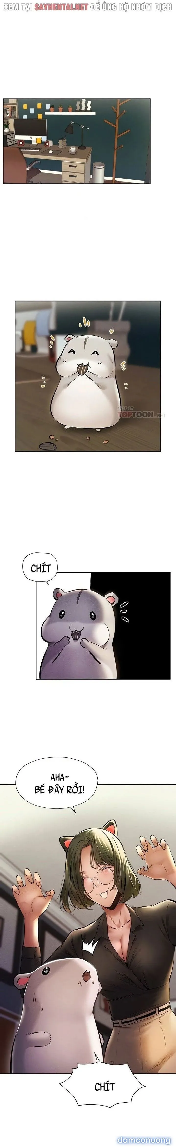 Có Phòng Trống Không? 