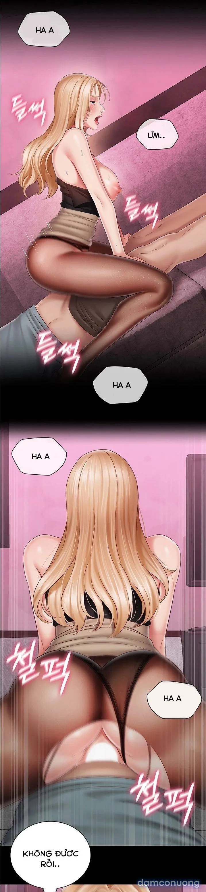 Sisters Duty – Sứ Mệnh Người Anh 