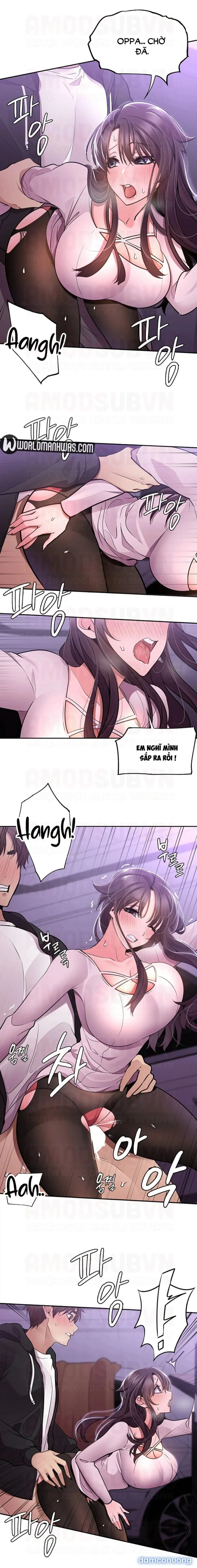 Gặp Lại Người Ấy 
