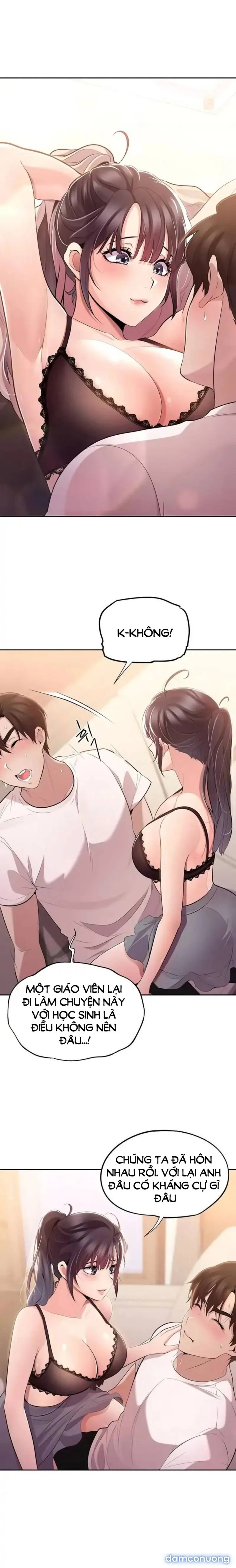Gặp Lại Người Ấy 