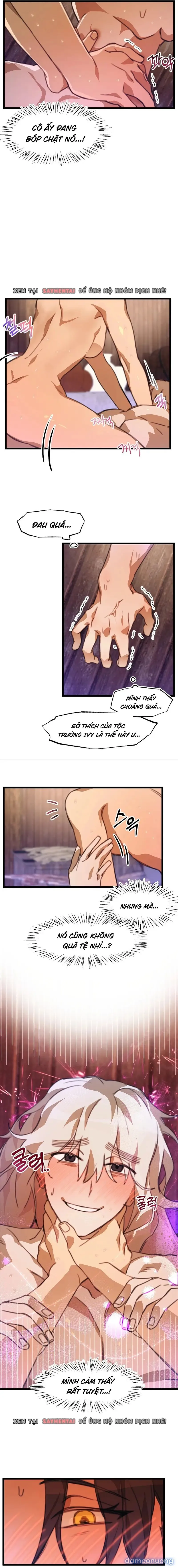 Bộ Tộc Lạ Kì 