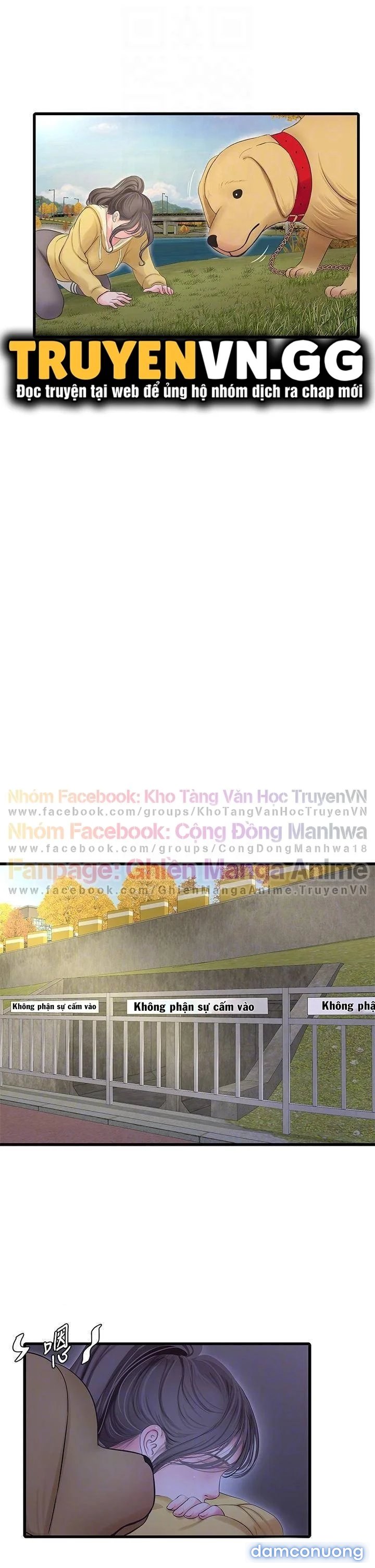 Chị Dâu Trinh Nữ 