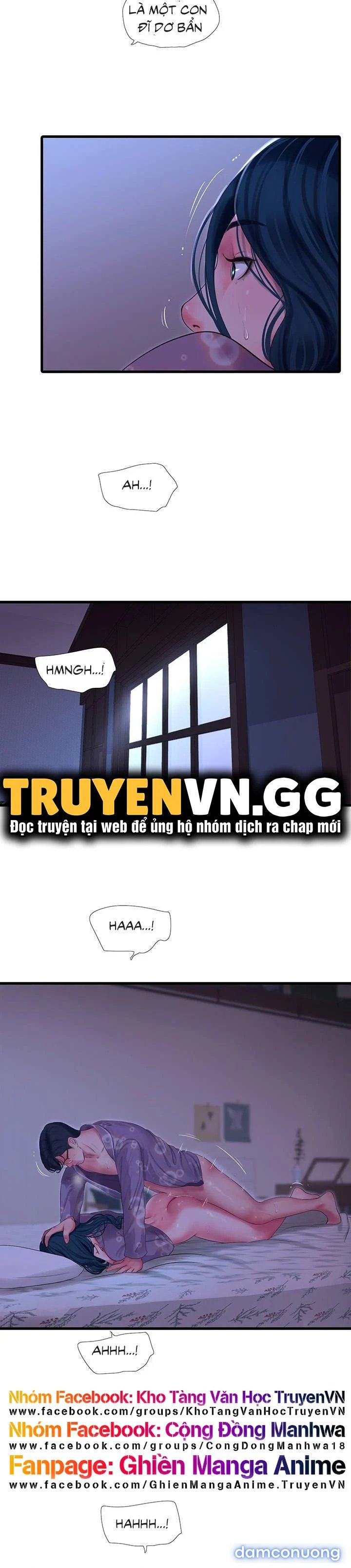 Chị Dâu Trinh Nữ 
