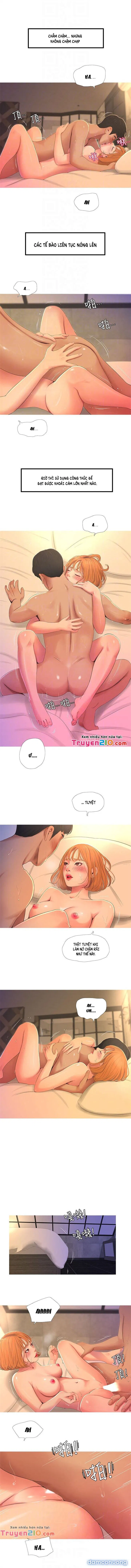 Chị Dâu Trinh Nữ 