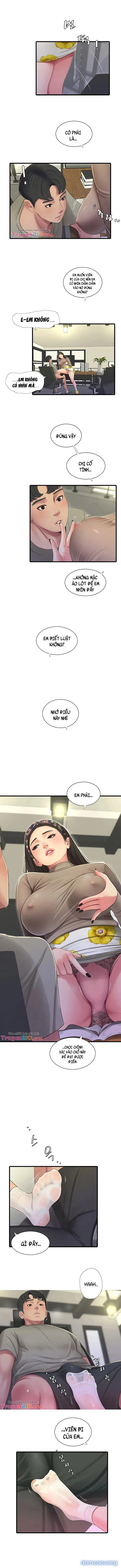 Chị Dâu Trinh Nữ 