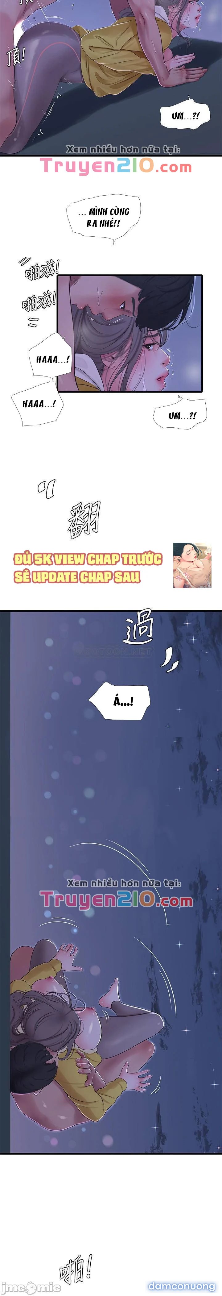 Chị Dâu Trinh Nữ 