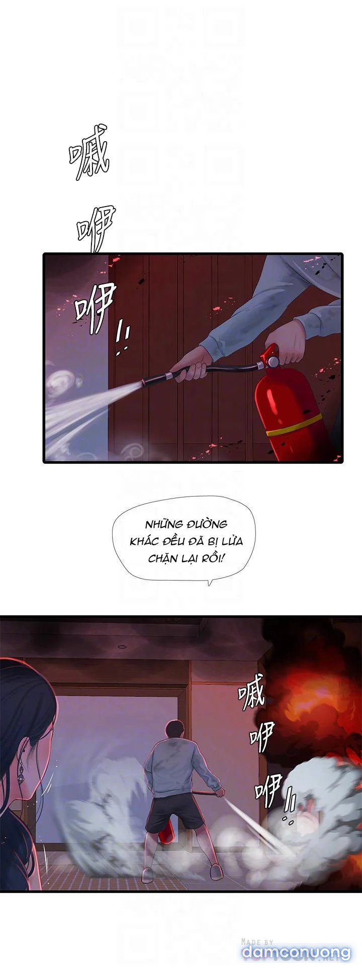 Chị Dâu Trinh Nữ 