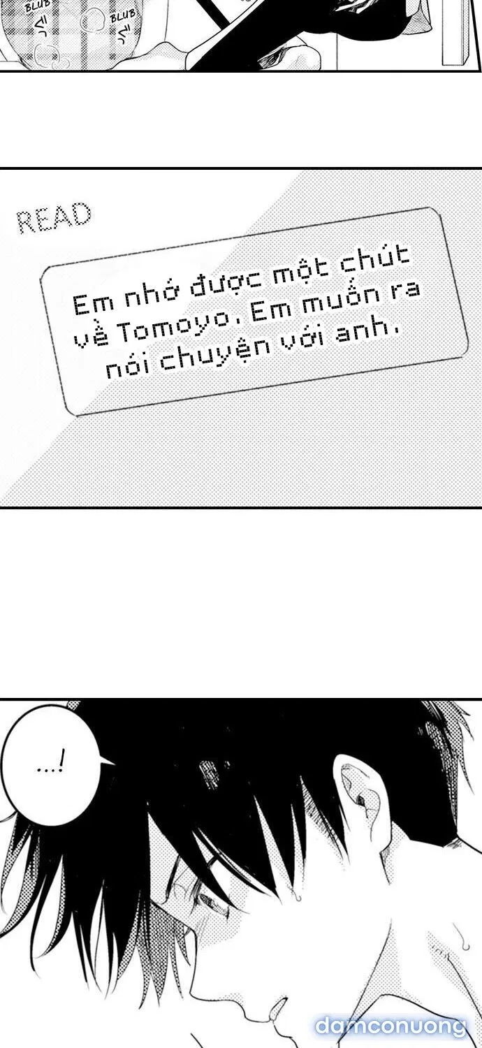 Giả Vờ Ngủ Cũng Không Ngăn Được Anh Ấy 
