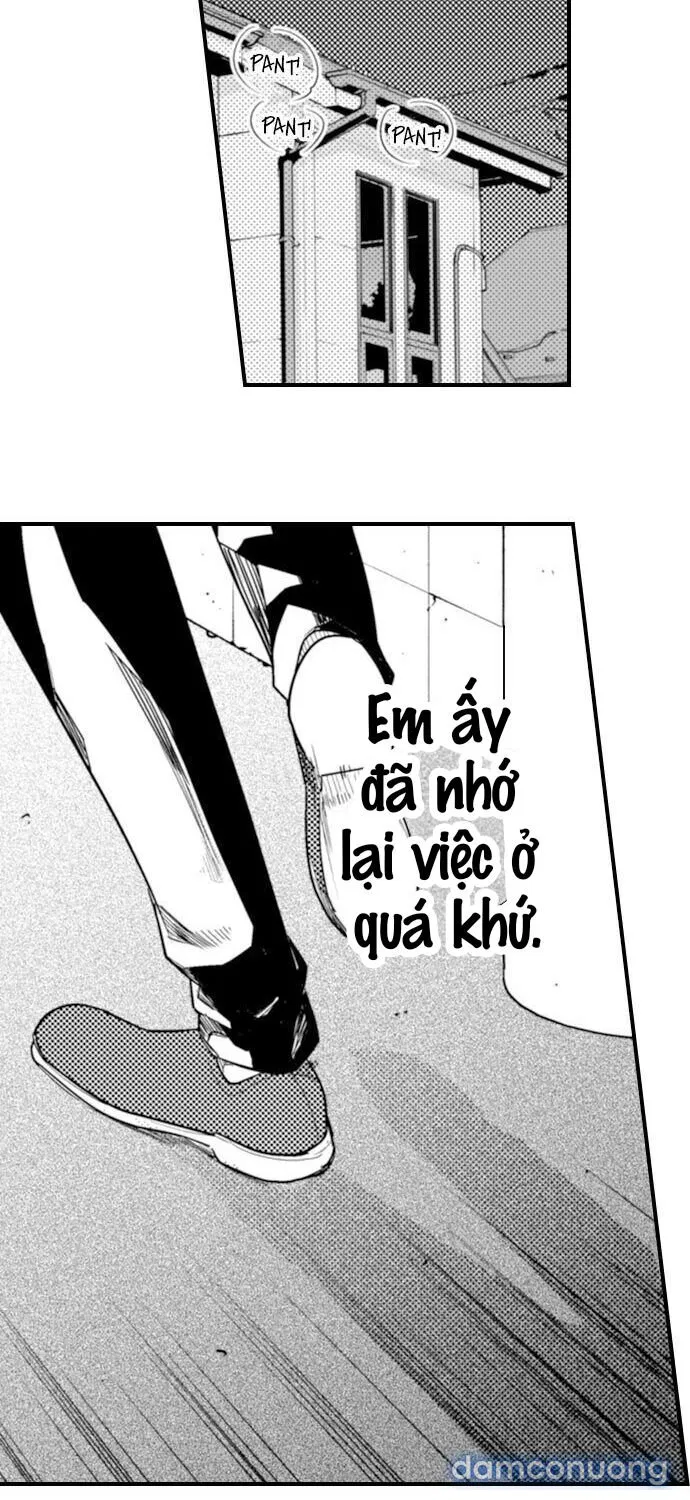 Giả Vờ Ngủ Cũng Không Ngăn Được Anh Ấy 