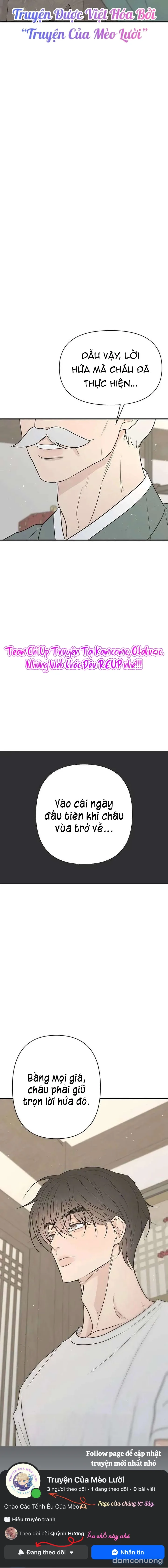 Scandal Bảo Vệ Hôn Nhân 