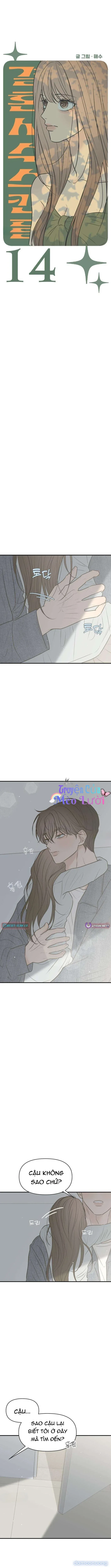 Scandal Bảo Vệ Hôn Nhân 
