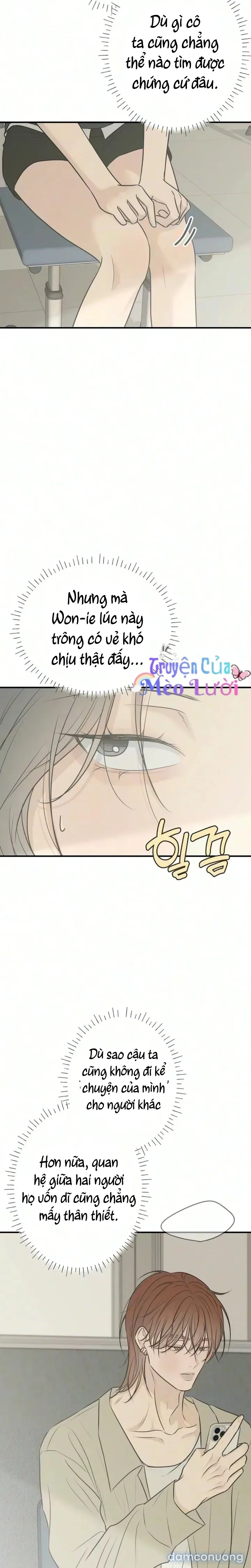 Scandal Bảo Vệ Hôn Nhân 