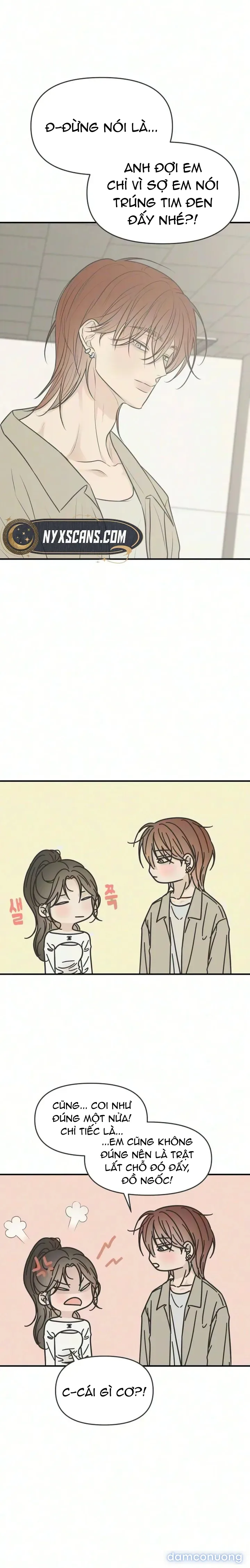 Scandal Bảo Vệ Hôn Nhân 