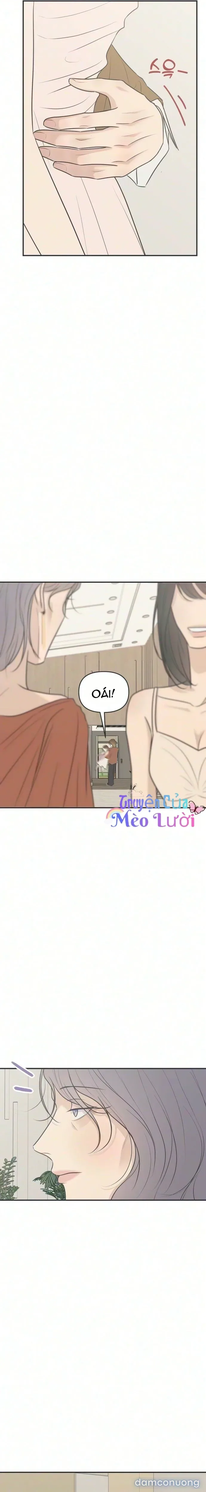Scandal Bảo Vệ Hôn Nhân 