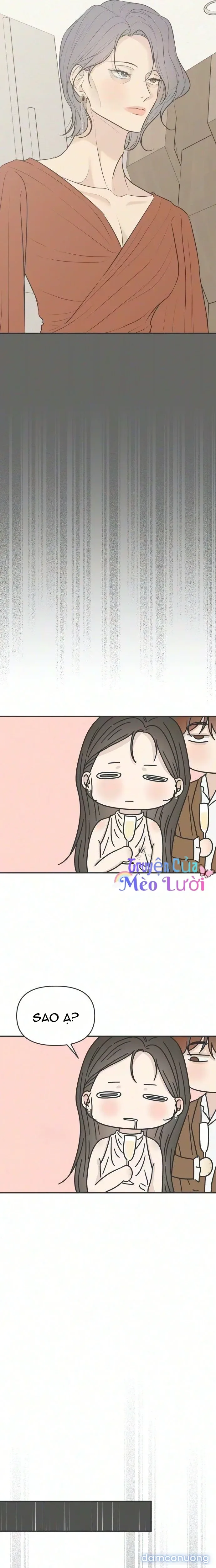 Scandal Bảo Vệ Hôn Nhân 
