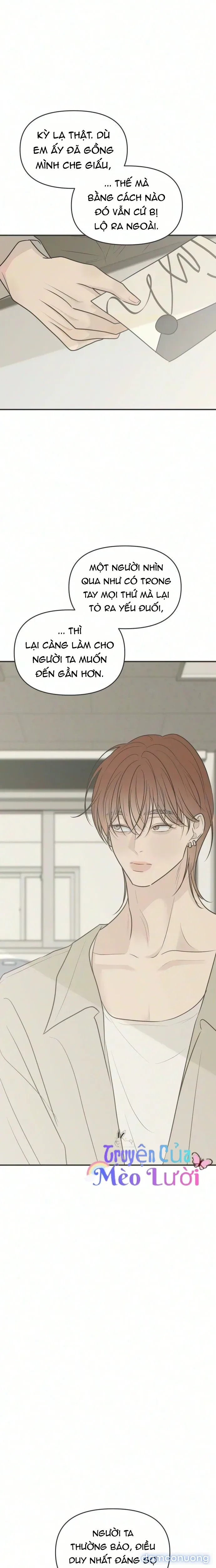 Scandal Bảo Vệ Hôn Nhân 