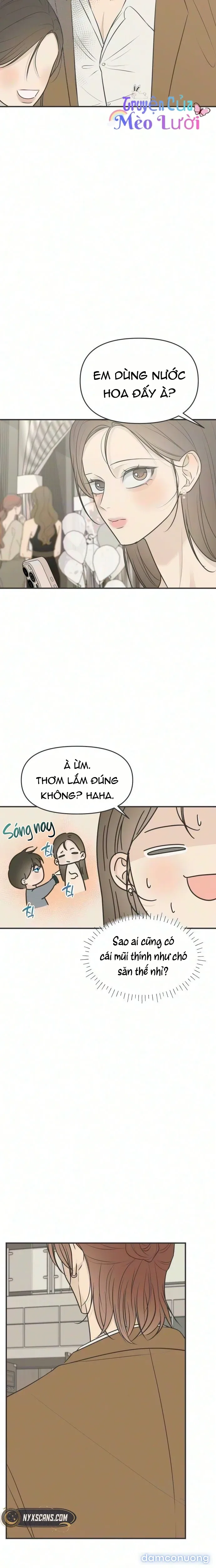 Scandal Bảo Vệ Hôn Nhân 