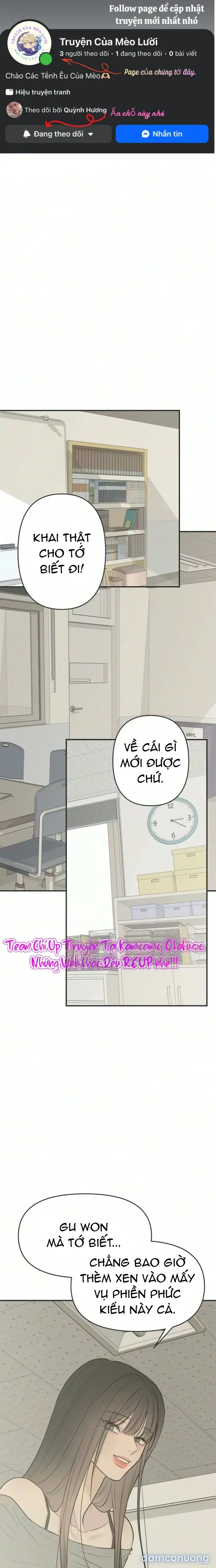 Scandal Bảo Vệ Hôn Nhân 
