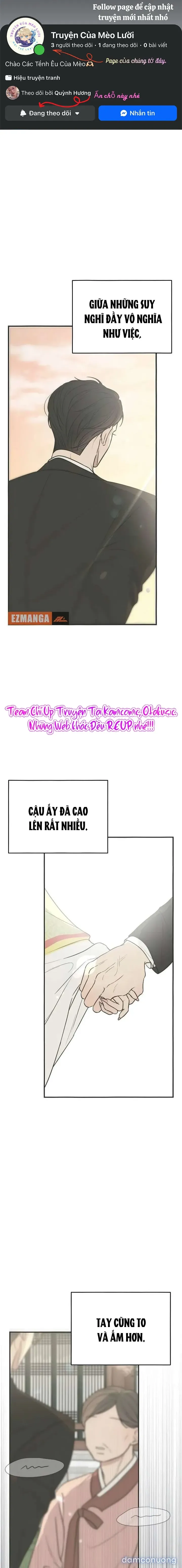 Scandal Bảo Vệ Hôn Nhân 