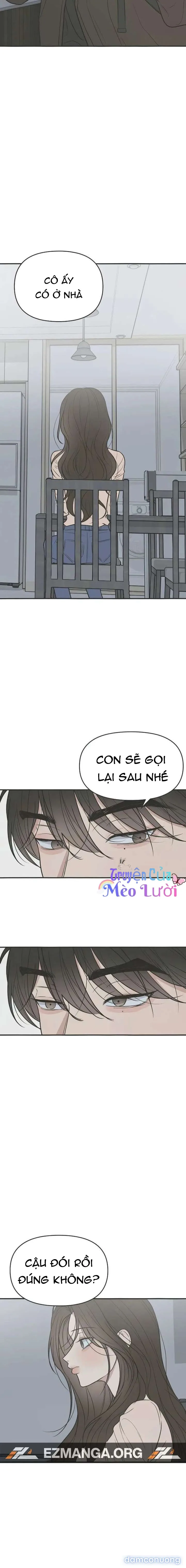 Scandal Bảo Vệ Hôn Nhân 
