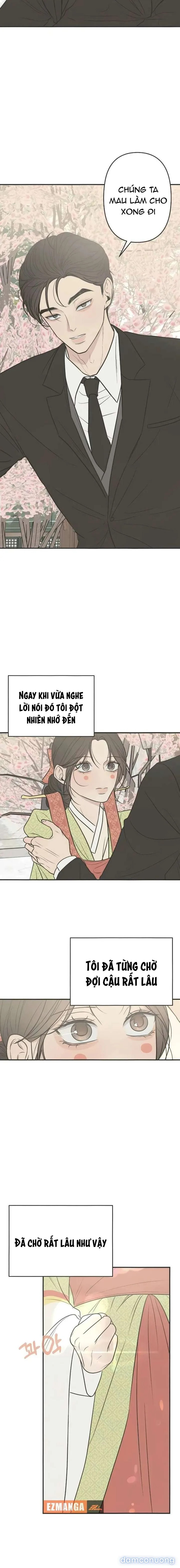 Scandal Bảo Vệ Hôn Nhân 