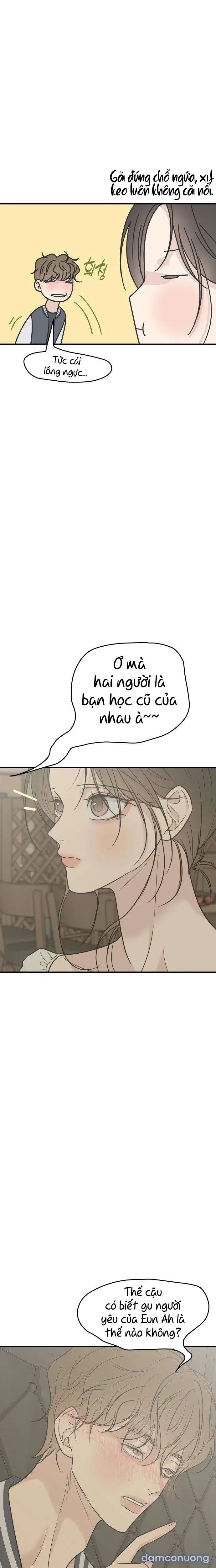 Scandal Bảo Vệ Hôn Nhân 
