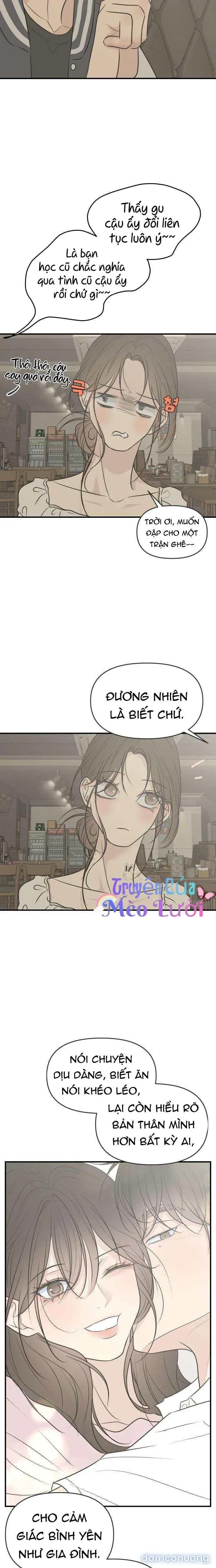 Scandal Bảo Vệ Hôn Nhân 