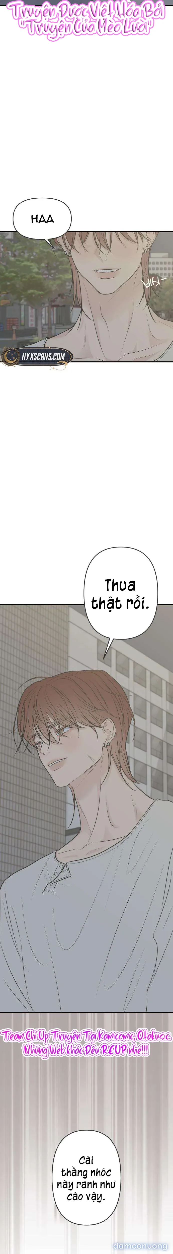 Scandal Bảo Vệ Hôn Nhân 