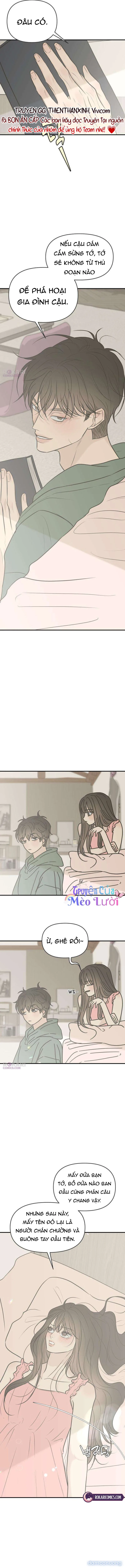 Scandal Bảo Vệ Hôn Nhân 