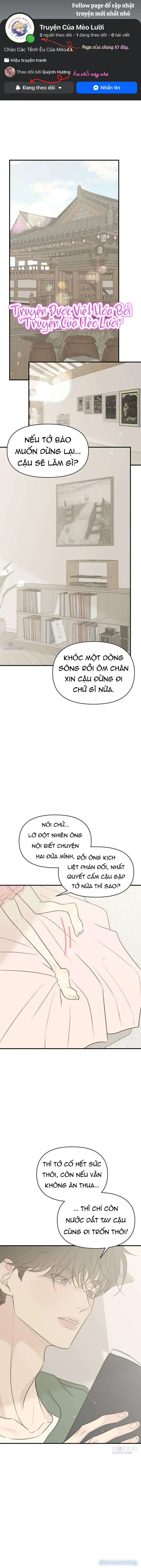 Scandal Bảo Vệ Hôn Nhân 