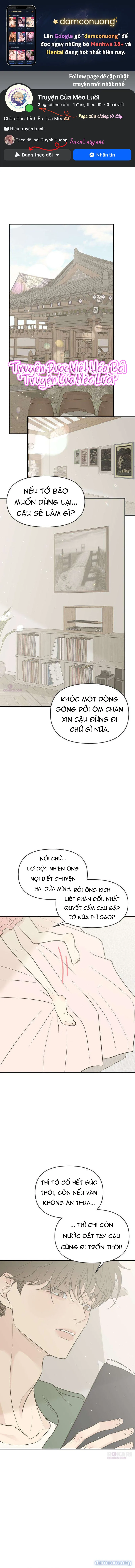 Scandal Bảo Vệ Hôn Nhân 