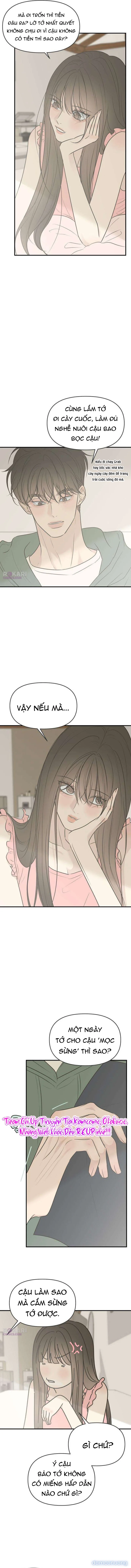 Scandal Bảo Vệ Hôn Nhân 