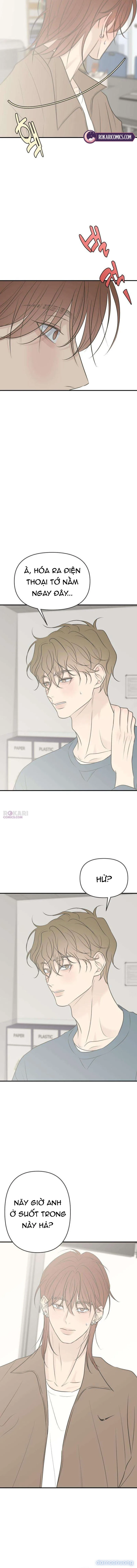 Scandal Bảo Vệ Hôn Nhân 