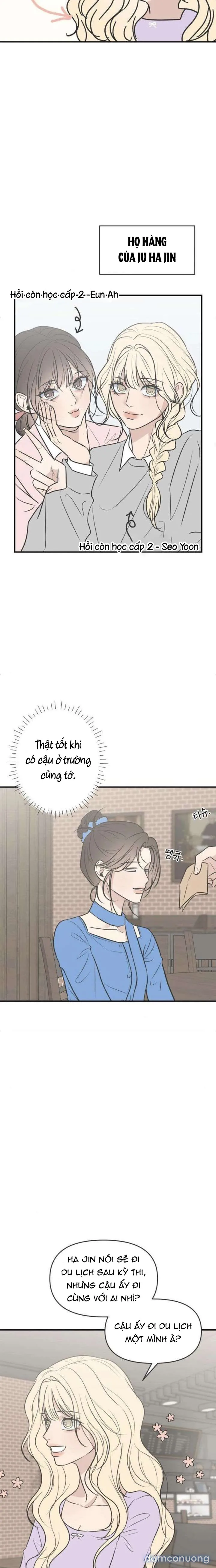Scandal Bảo Vệ Hôn Nhân 