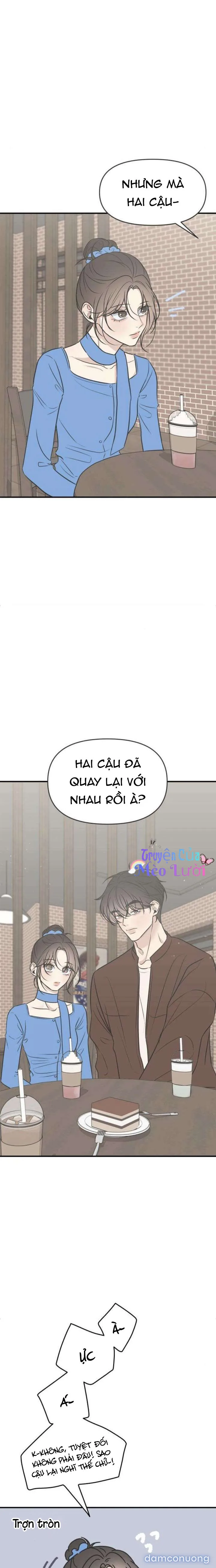 Scandal Bảo Vệ Hôn Nhân 