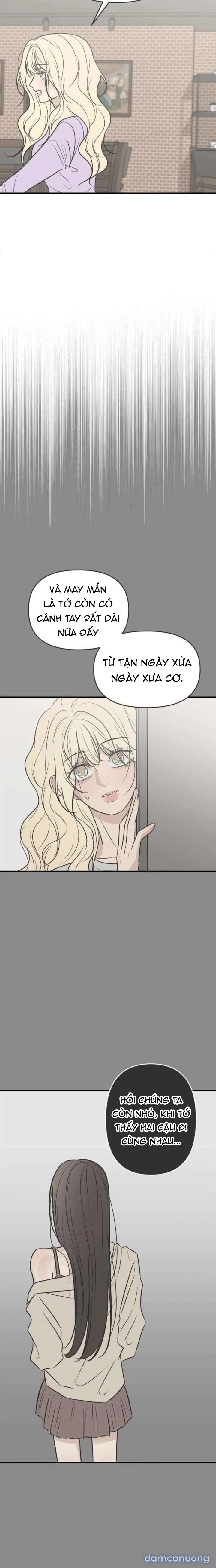 Scandal Bảo Vệ Hôn Nhân 