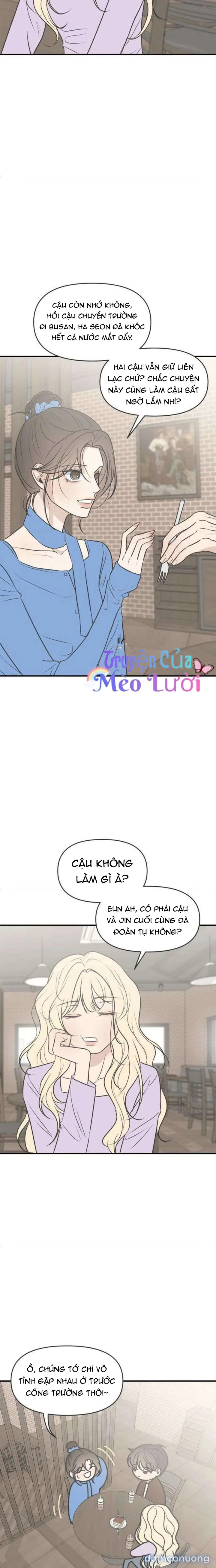 Scandal Bảo Vệ Hôn Nhân 