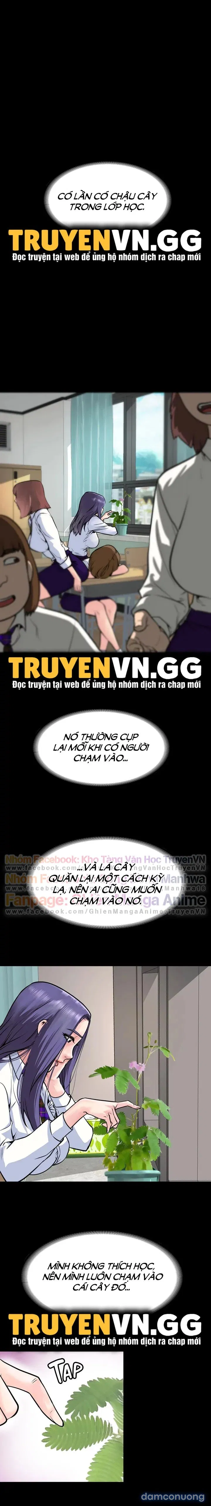 Khi Loser Trỗi Dậy 