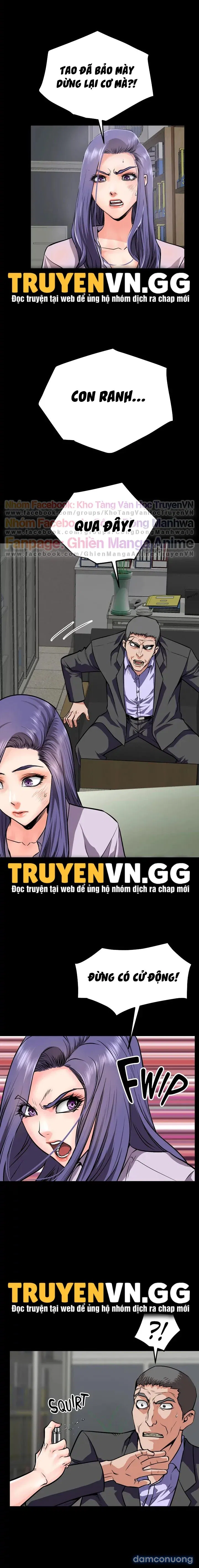 Khi Loser Trỗi Dậy 