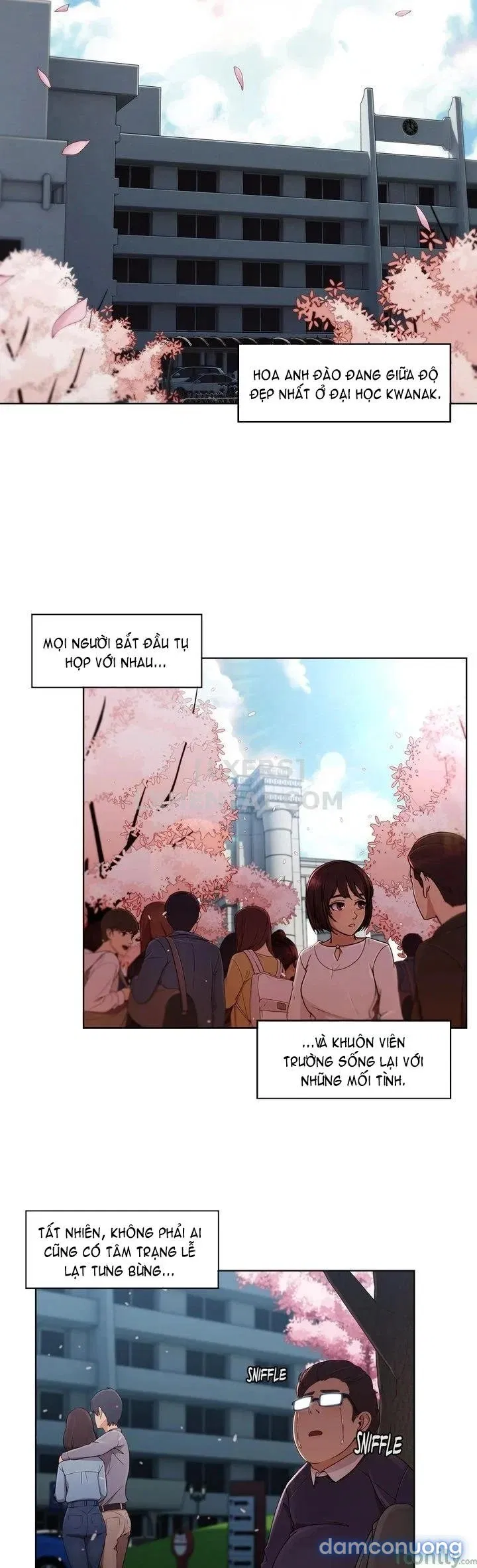 Điên Cuồng Nhưng Ngọt Ngào 