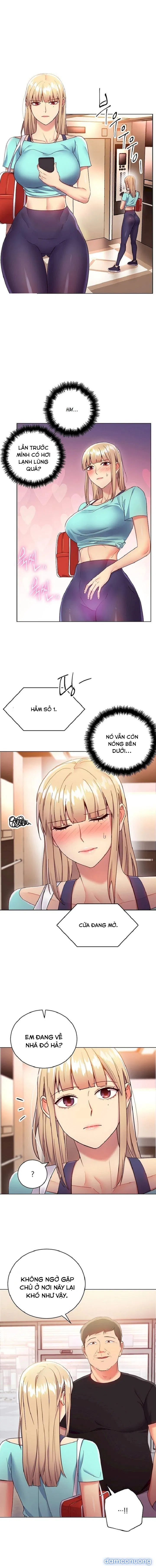 Bạn Của Mẹ Kế 