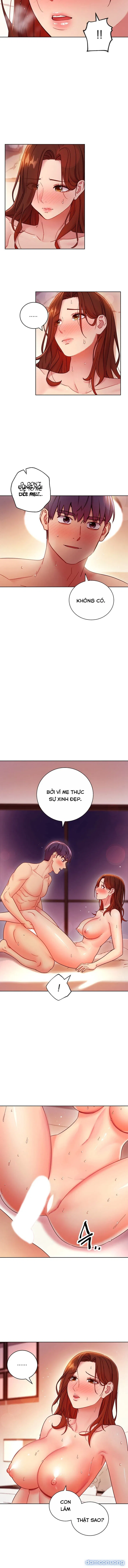 Bạn Của Mẹ Kế 