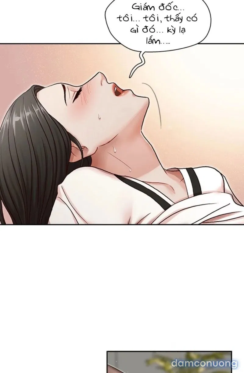 Thư Ký Của Anh Trai 