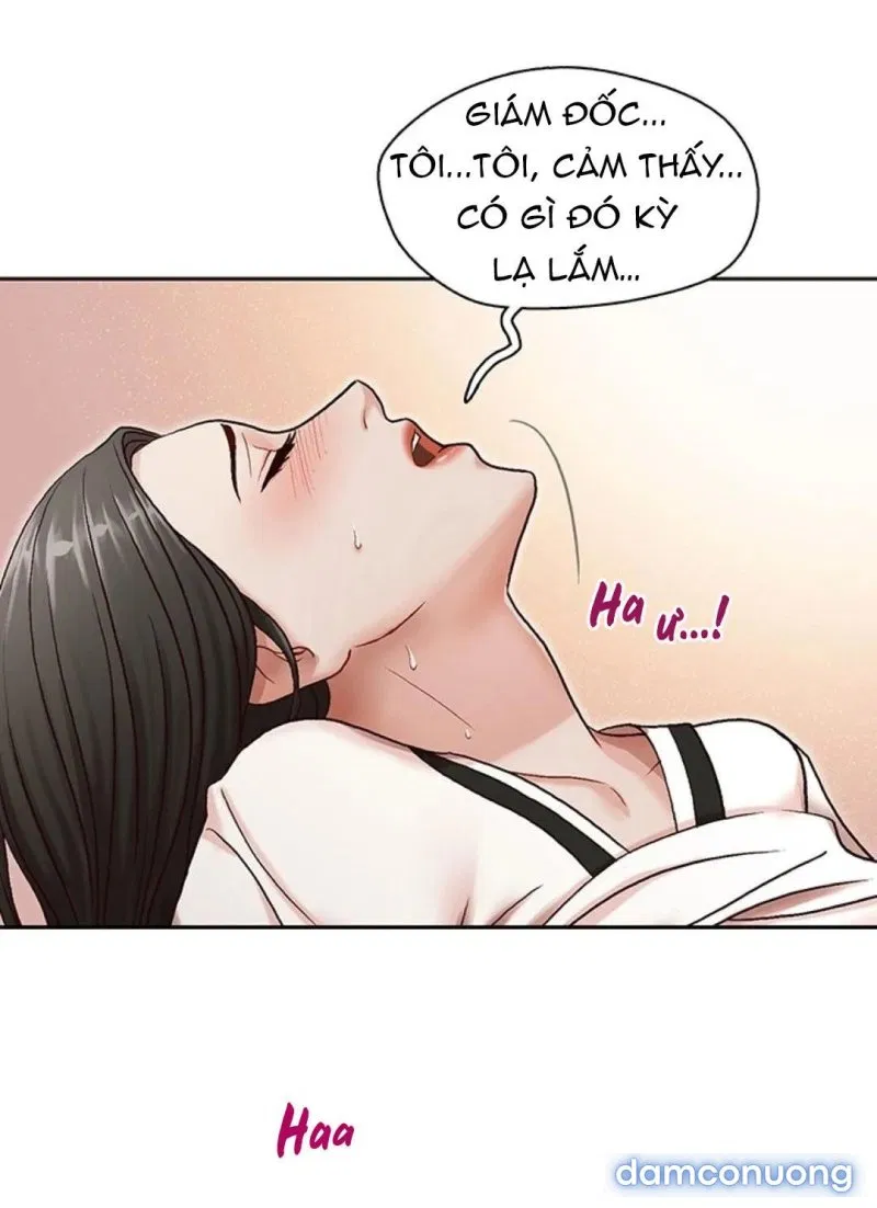 Thư Ký Của Anh Trai 