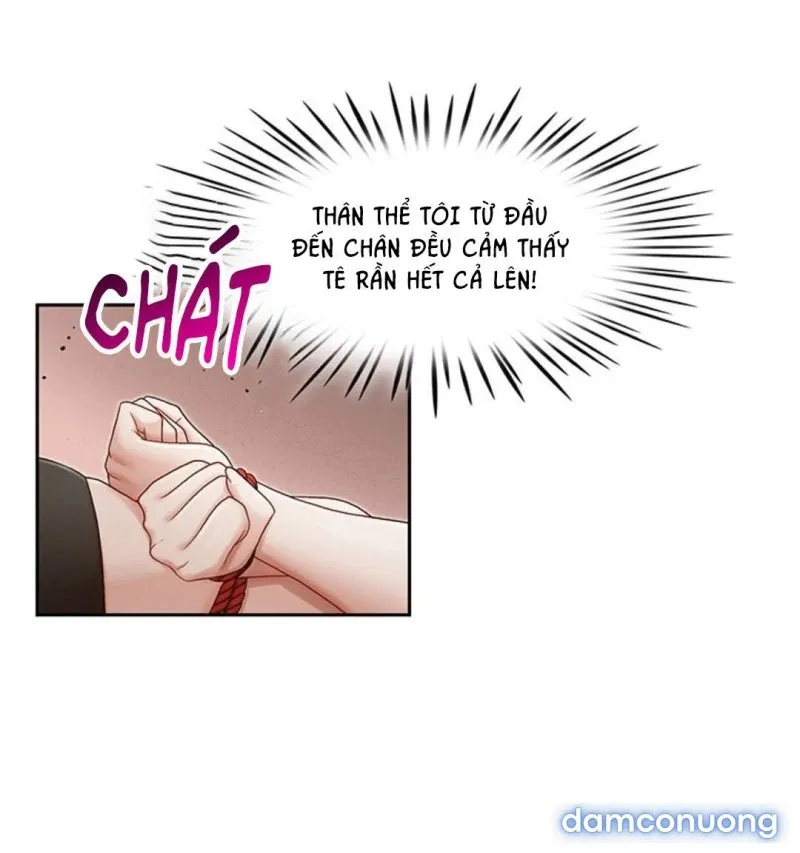 Thư Ký Của Anh Trai 
