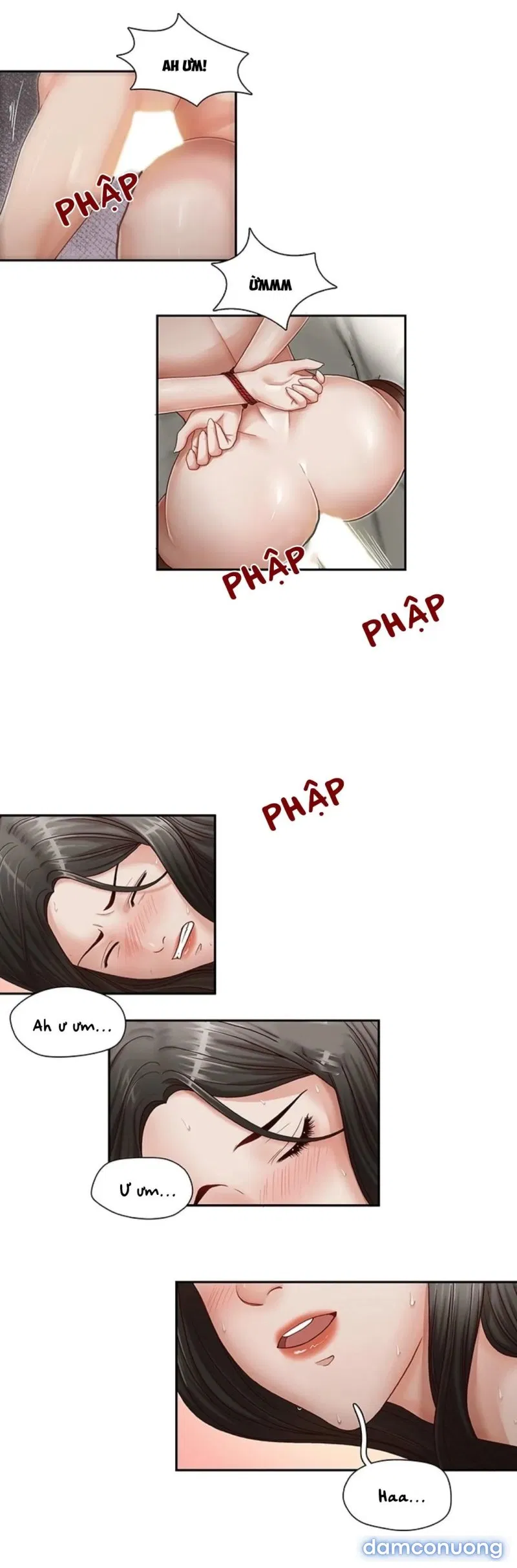 Thư Ký Của Anh Trai 