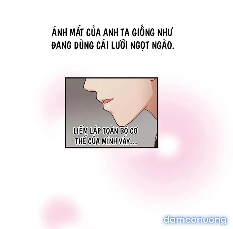 Thư Ký Của Anh Trai 