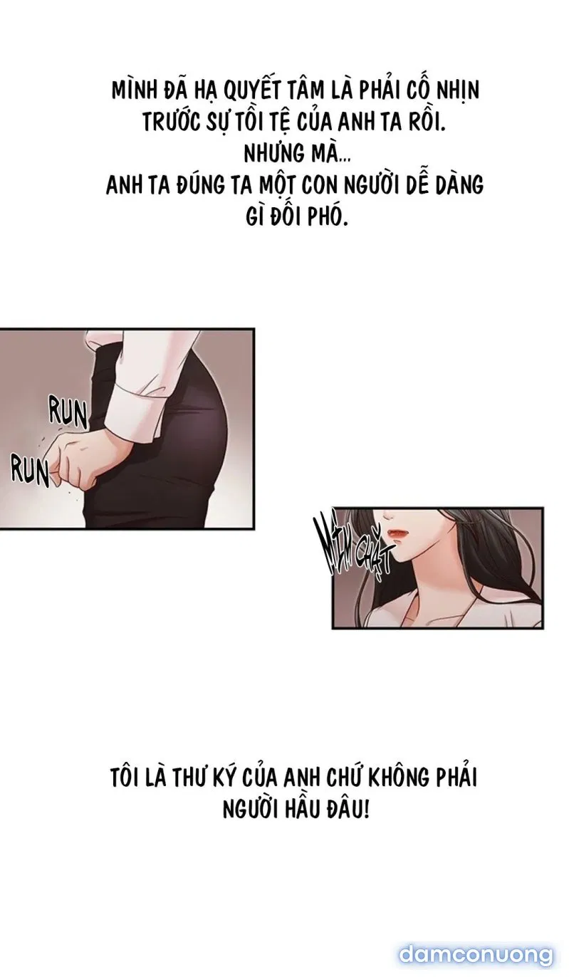 Thư Ký Của Anh Trai 