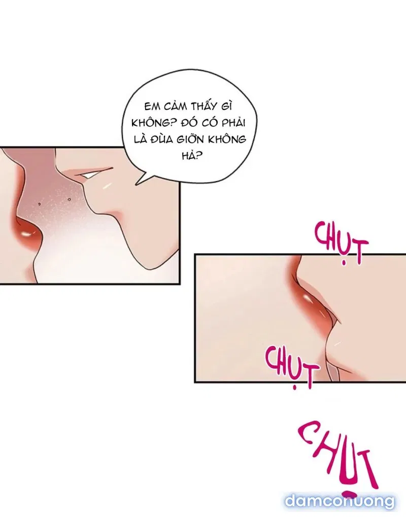 Thư Ký Của Anh Trai 